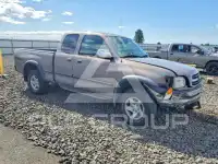 2001 Toyota TUNDRA фото