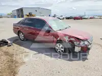 2001 Toyota AVALON фото