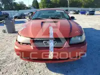 2001 Ford MUSTANG photo