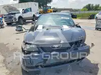 2001 Ford MUSTANG photo