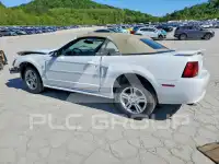 2001 Ford MUSTANG фото