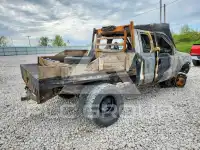 2001 Ford F-250 фото