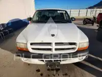 2002 Dodge DAKOTA photo