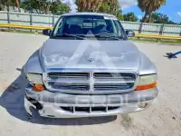 2002 Dodge DAKOTA photo