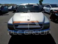 2002 Dodge DAKOTA photo