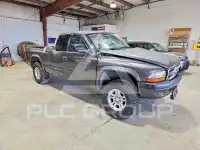 2002 Dodge DAKOTA фото