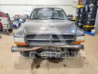 2002 Dodge DAKOTA photo