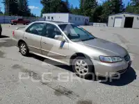 2002 Honda Accord фото