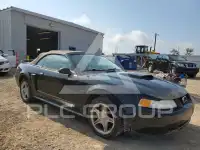2002 Ford MUSTANG photo