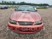2002 Ford MUSTANG фото