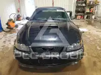 2002 Ford MUSTANG фото
