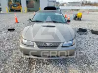 2002 Ford MUSTANG фото