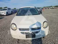 2003 Dodge NEON фото