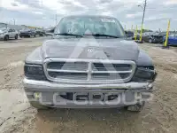 2003 Dodge DAKOTA photo