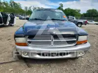 2003 Dodge DAKOTA photo