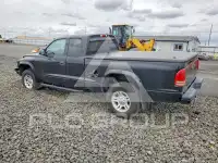 2003 Dodge DAKOTA photo