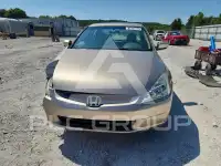 2003 Honda Accord фото