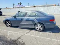 2003 Honda Accord фото