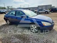 2003 Honda Accord фото