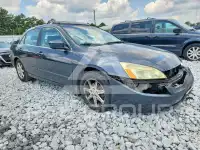 2003 Honda Accord фото