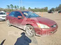 2003 Honda Accord фото