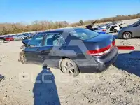 2003 Honda Accord photo