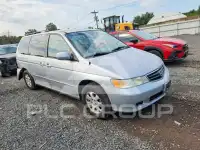 2003 Honda ODYSSEY фото