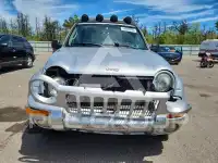 2003 Jeep LIBERTY фото