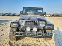 2003 Jeep WRANGLER фото