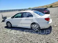 2003 Toyota COROLLA фото