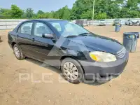 2003 Toyota COROLLA фото