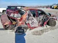 2003 Toyota COROLLA фото