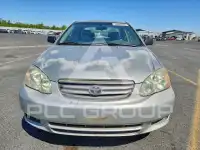 2003 Toyota COROLLA фото