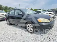 2003 Toyota COROLLA фото