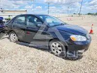 2003 Toyota COROLLA фото
