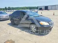 2003 Toyota COROLLA фото