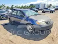 2003 Toyota COROLLA фото