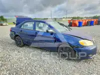 2003 Toyota COROLLA фото