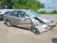 2003 Toyota COROLLA фото