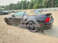 2003 Ford MUSTANG photo