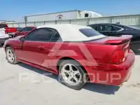 2003 Ford MUSTANG photo
