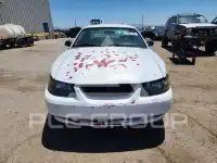 2003 Ford MUSTANG фото