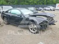 2003 Ford MUSTANG фото