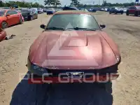 2003 Ford MUSTANG фото