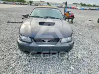 2003 Ford MUSTANG фото