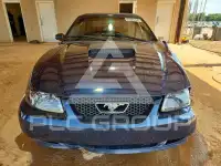 2003 Ford MUSTANG photo