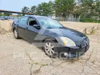 2004 Nissan MAXIMA фото