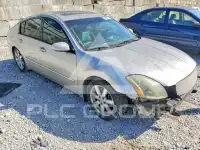 2004 Nissan MAXIMA photo