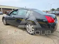 2004 Nissan MAXIMA фото