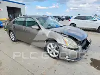 2004 Nissan MAXIMA photo